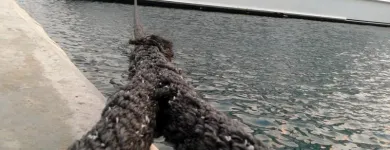 Business 3 image VELLA MARINE MALTA Yacht Maintenance & Service in Attard WD