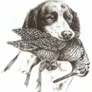 TAL-MAGRU FIREARMS & OUTDOOR SUPPLIES Pet Foods & Supplies in Dingli WD