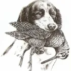 TAL-MAGRU FIREARMS & OUTDOOR SUPPLIES